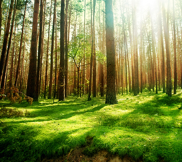 南宁纵玟溪商贸有限公司